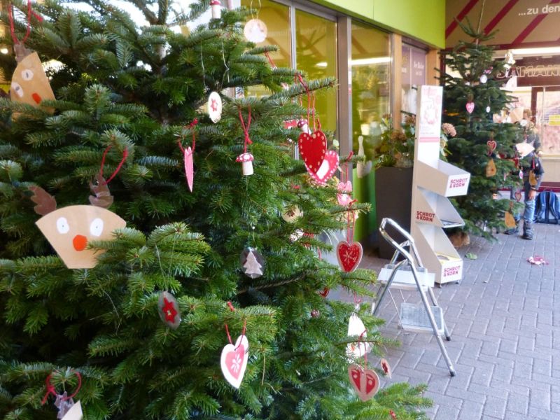 260966254 1983321338508850 n 260966254 1983321338508850 n